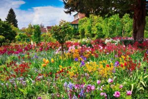 dream flower garden - Spring Garden: 7 Steps to Prepare