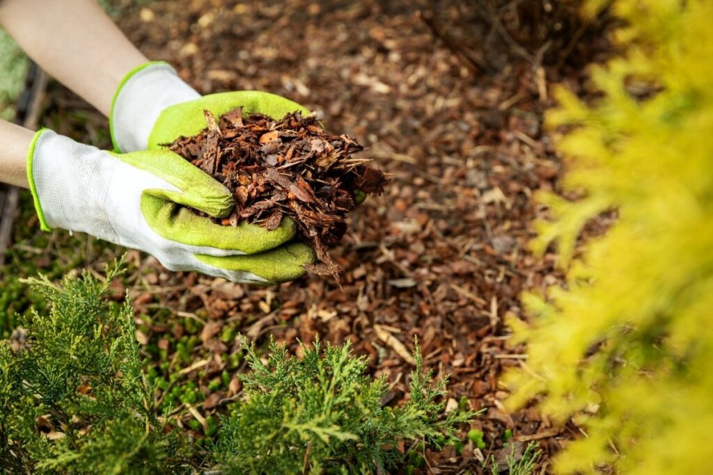 garden mulch - Spring Garden: 7 Steps to Prepare