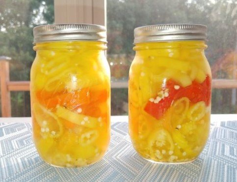 easy pickled banana pepper recipe homemade and sliced pepper rings in two mason jars
