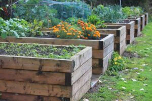 raised garden beds - How to Plot a Garden Bed