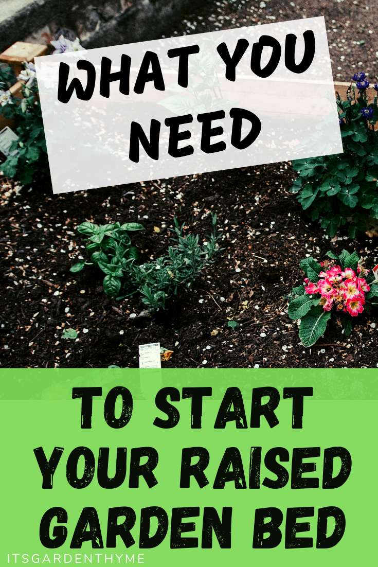 how to start raised garden bed
