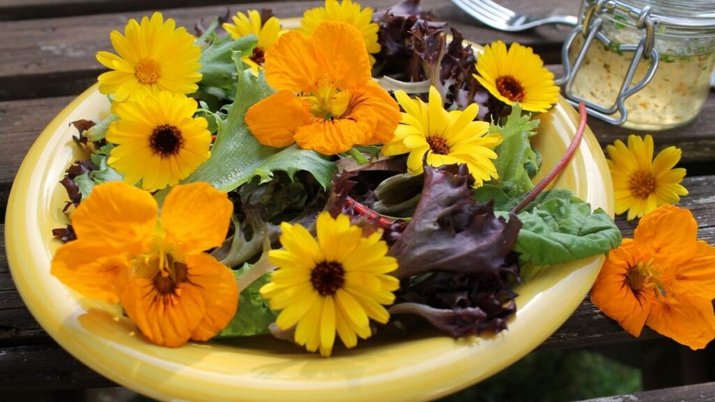 edible marigold salad - Benefits of Growing Marigolds