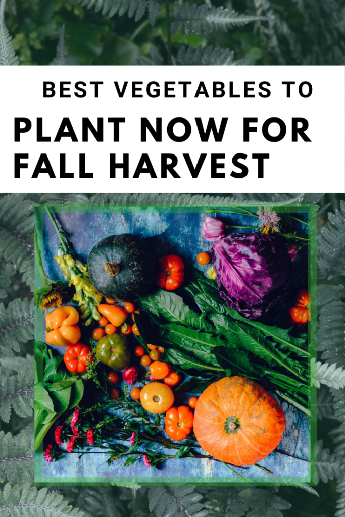 Fall harvest - Best Plants to Grow in a Fall Garden