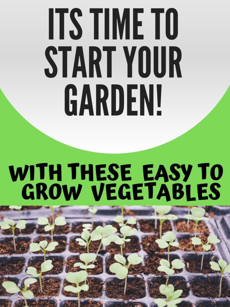 Dont buy your vegetables at the nursery this year! The winter is a great time to start planning for this year’s vegetable garden. Now is the perfect time to think ahead by mapping out what easy to grow vegetables you want in your vegetable and herb garden this year. Here is an amazing list of easy to grow vegetables for your garden!