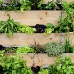 wood pallet vertical garden - Benefits of Vertical Gardening