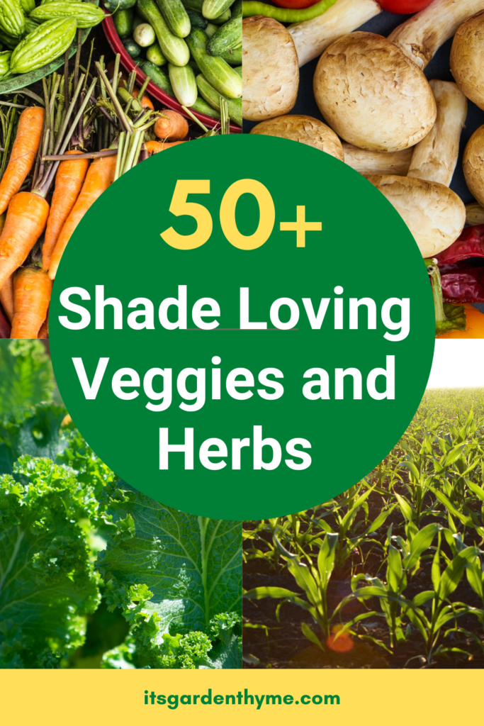 vegetables that grow in shade