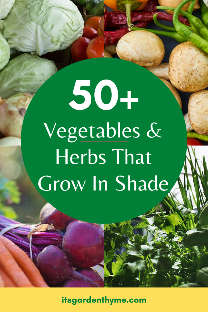 vegetables and herbs that grow in shade