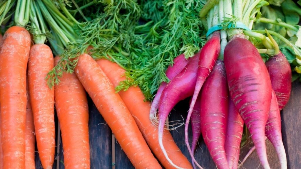 radish and carrot companion planting - 10 Best Companion Plants for your Vegetable Garden