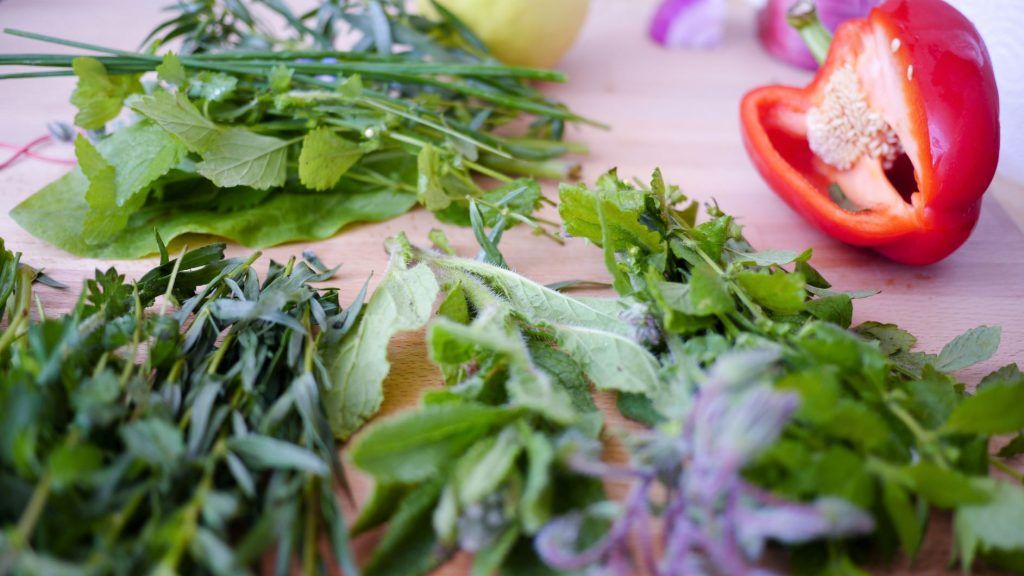 best herbs for companion planting