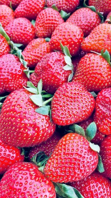 how to plant and grow strawberries