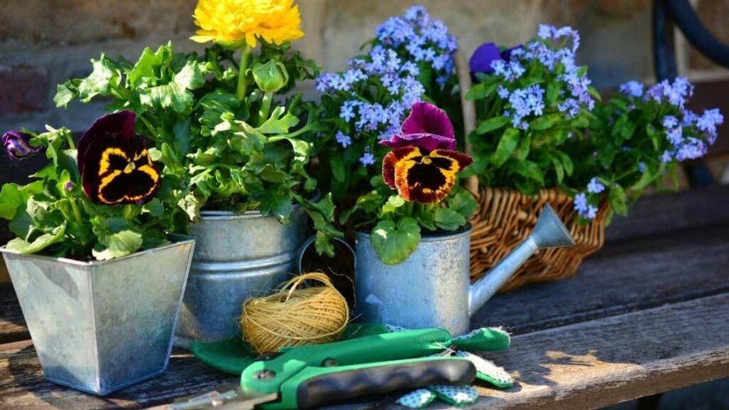 flower pots for landscaping on a budget - Auto Draft
