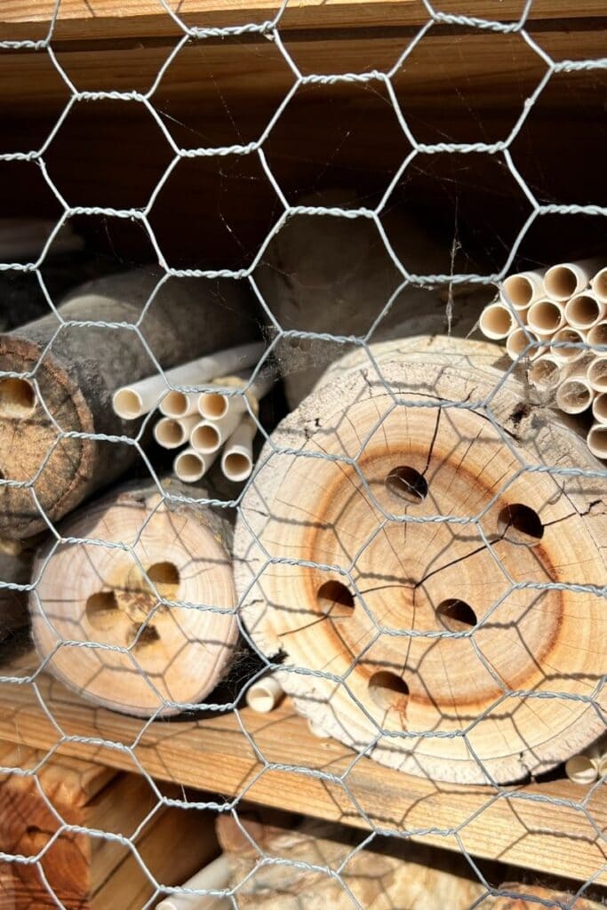 solitary bee house - Bee Houses: A Simple Way You Can Help Solitary Bees