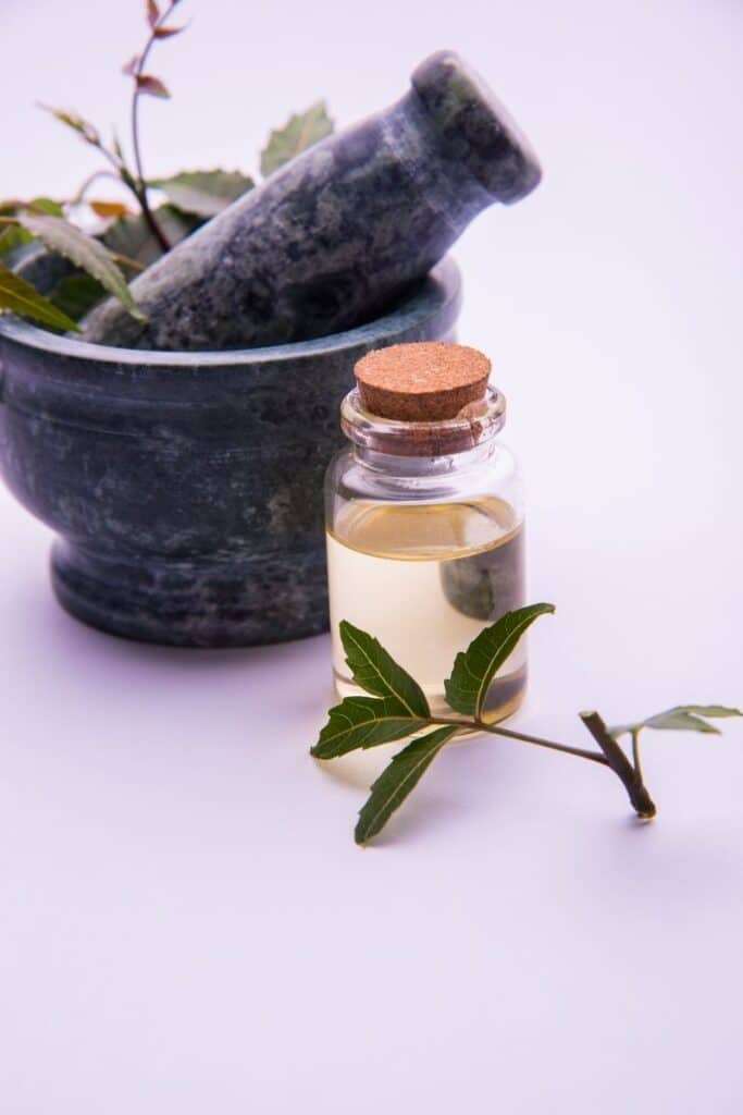 neem oil - Neem Oil Soap Recipe for Plants